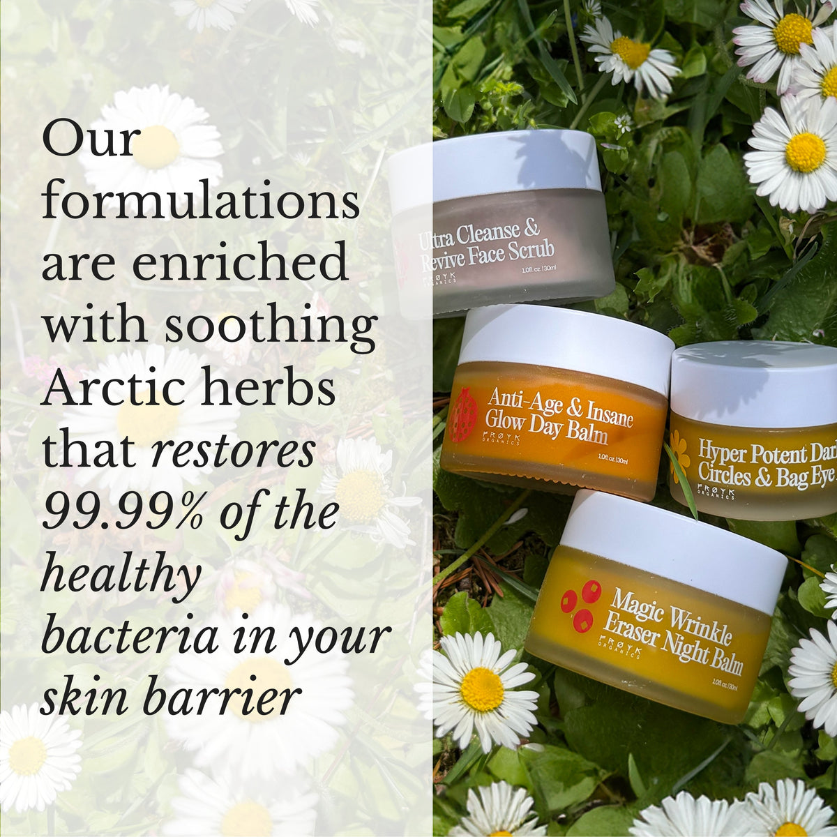 The Frøya Favorites Bundle
